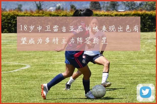 18岁中卫雷吉亚尼训练表现出色有望成为多特主力阵容新星